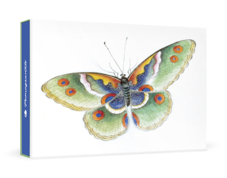 Misc. Butterfly Small Boxed Cards Book