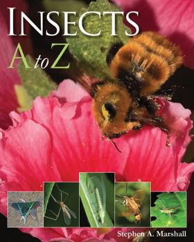 Hardcover Insects A to Z Book