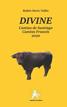 Paperback DIVINE. Camino de Santiago. Camino Francés. Año 2020 [Spanish] Book