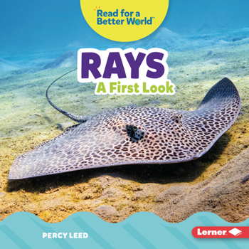 Library Binding Rays: A First Look Book