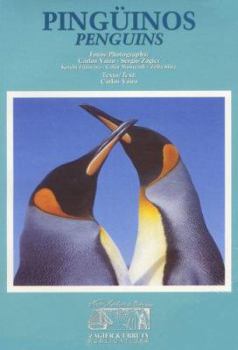 Paperback Pinguinos - Penguins Book