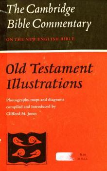 Hardcover Old Testament Illustrations (Cambridge Bible Commentaries on the Old Testament) Book