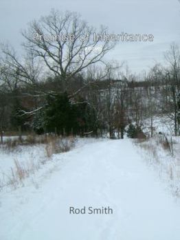 Paperback Promise Of Inheritance a novel Book