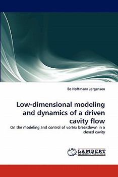Paperback Low-Dimensional Modeling and Dynamics of a Driven Cavity Flow Book