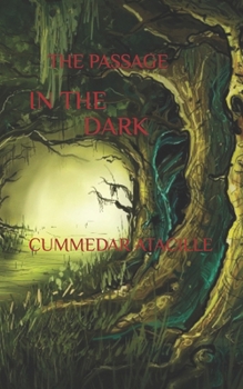 Paperback The Passage in the Dark Book