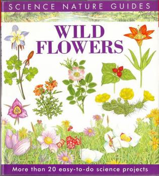 Wild Flowers of North America