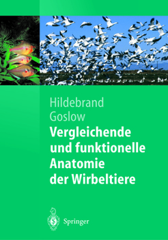 Paperback Vergleichende Und Funktionelle Anatomie Der Wirbeltiere [German] Book