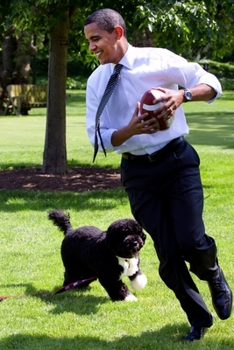 Barack Obama notebook - achieve your goals, perfect 120 lined pages #1 (Barack Obama Notebooks)