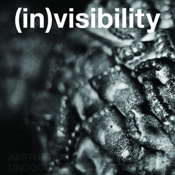 Paperback (In)Visibility: Aesthetics of Undocumentedness Book