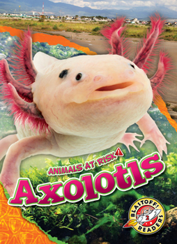 Library Binding Axolotls Book