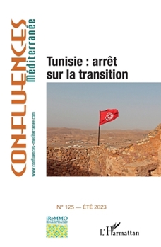 Paperback Tunisie: arrêt sur la transition [French] Book
