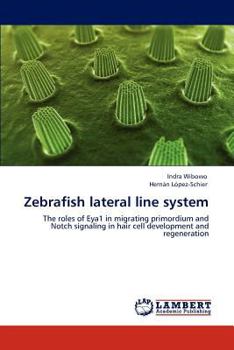 Paperback Zebrafish Lateral Line System Book