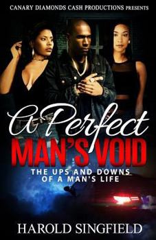 Paperback A Perfect Man's Void Book