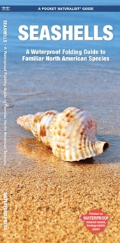 Paperback Seashells: A Folding Guide to Familiar North American Species Book