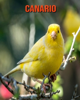 Canario: Imágenes asombrosas y datos curiosos