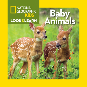 Baby Animals - Book  of the Explore My World