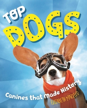 Hardcover Top Dogs: Canines That Made History Book