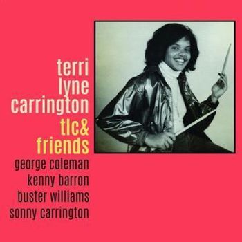 Vinyl Tlc & Friends Book