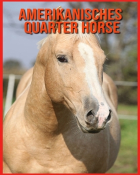 Amerikanisches Quarter Horse: Erfahre mehr über Amerikanisches Quarter Horse und freue dich an den farbenfrohen Bildern