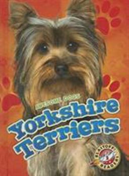 Yorkshire Terriers - Book  of the Awesome Dogs