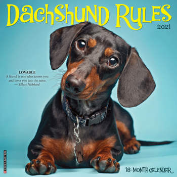Calendar Dachshund Rules 2021 Wall Calendar (Dog Breed Calendar) Book