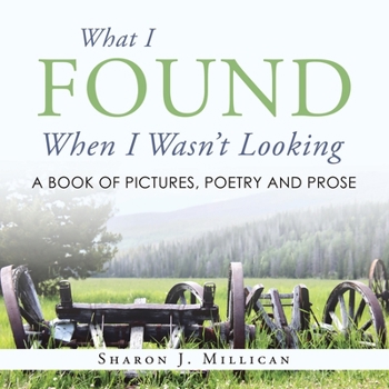 What I Found When I Wasn't Looking: A Book of Pictures, Poetry and Prose