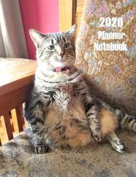 Paperback 2020 Planner Notebook: Funny Cat Planner Book With Monthly and Weekly Calendars, Monthly Budget Sheet and Weekly Meal Plan Book