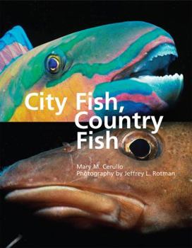 Hardcover City Fish, Country Fish Book