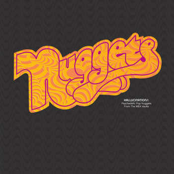 Vinyl Hallucinations: Psychedelic Po Book
