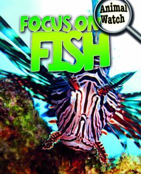 Library Binding Focus on Fish Book