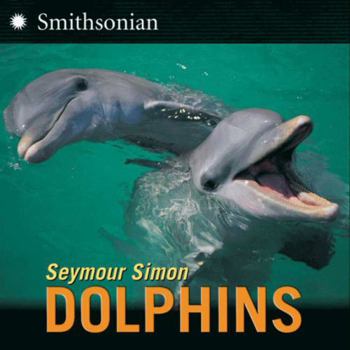 Paperback Dolphins Book