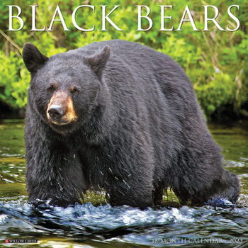 Calendar Black Bears 2023 Wall Calendar Book