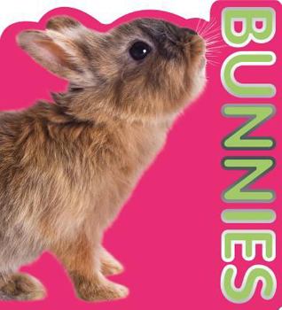 Board book Bunnies Book