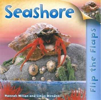 Paperback Flip the Flaps: Seashore Book