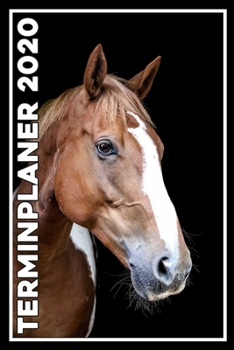 Terminplaner 2020: Jahresplaner von September 2019 bis Dezember 2020 mit Pferd - Planer mit 174 Seiten in wei� im Format A5 mit gl�nzendem Soft Cover.