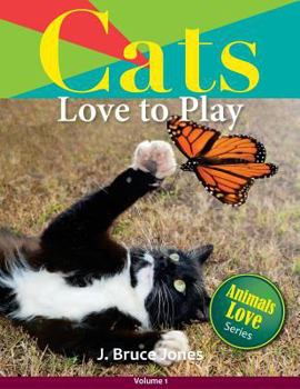 Paperback Cats Love to Play Book