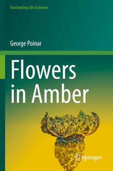 Paperback Flowers in Amber Book