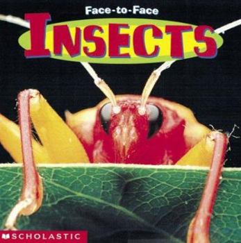 Paperback Insects (Face To Face) Book