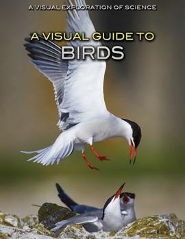 Library Binding A Visual Guide to Birds Book