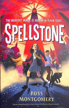 Paperback Spellstone Book