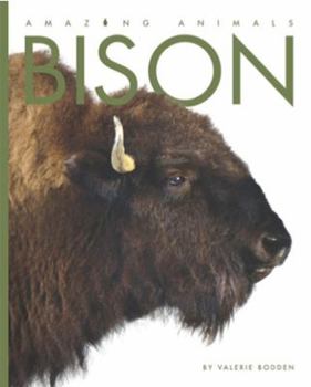 Paperback Bison Book