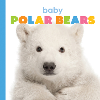 Paperback Baby Polar Bears Book