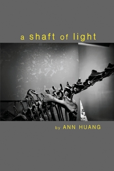 Paperback A shaft of light Book