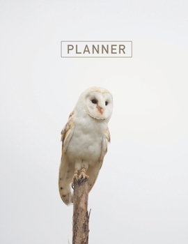 Paperback Planner: Owl 2 Year Weekly Planning Organizer - 2020 - 2021 - January 20 - December 21 - Writing Notebook - Productive Datebook Book