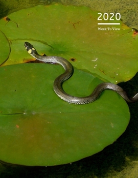 Paperback 2020 A4 Diary Week To View Planner For All Occasions: - Year Planner For Business, Office, Home, University, College, School, Appointments, Organizer. Book