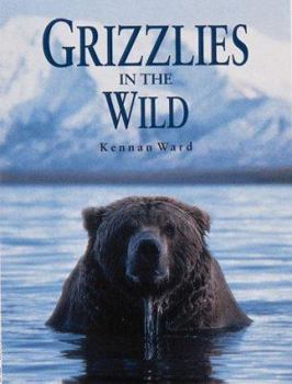 Hardcover Grizzlies in the Wild Book