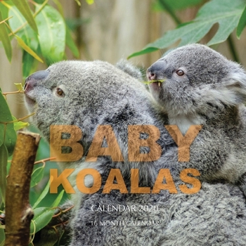 Baby Koalas Calendar 2020: 16 Month Calendar