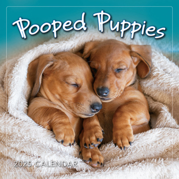 Office Product 2025 Pooped Puppies Mini Calendar Book