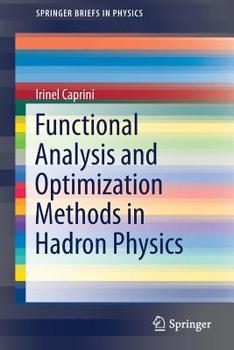 Paperback Functional Analysis and Optimization Methods in Hadron Physics Book