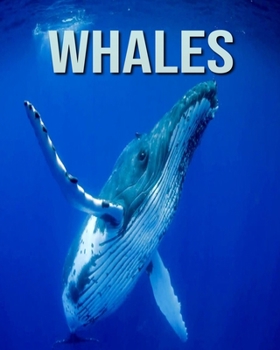 Paperback Whales: Fun Facts & Cool Pictures Book